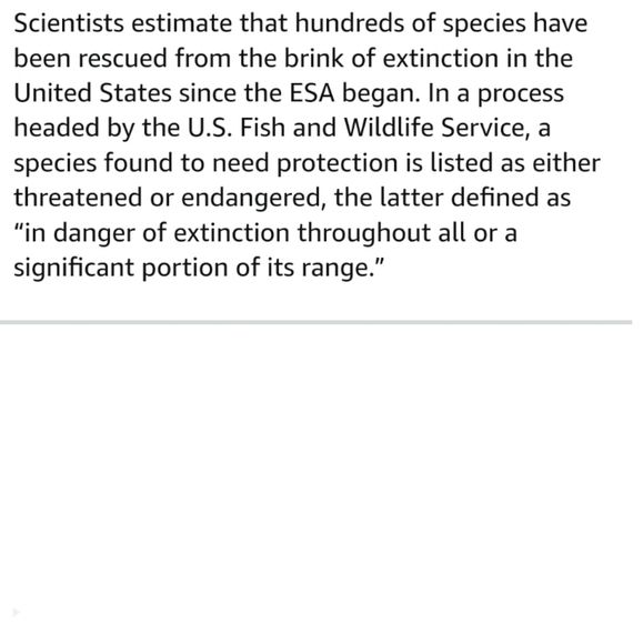 100 Forever Stamps Endangered Species Animals Stamp USPS Postage Mail - Picture 12 of 13